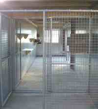 Intérieur du box commun chats